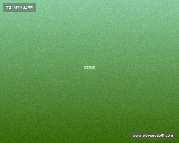 网球赛事分类表